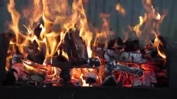 Oheň Dvoře Příprava Piknik Grilování Ohně Odpočinek Konci Týdne Dřevo — Stock video