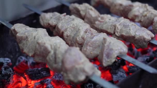 Delicious Juicy Shish Kebab Pork Fire Food Fire Barbecue Yard — Video