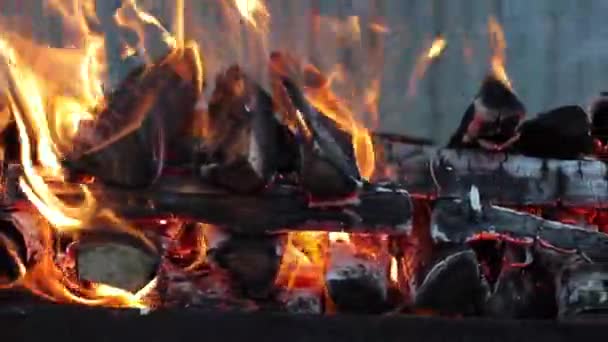 Hoguera Patio Preparación Para Picnic Barbacoa Fogata Descanso Final Semana — Vídeo de stock