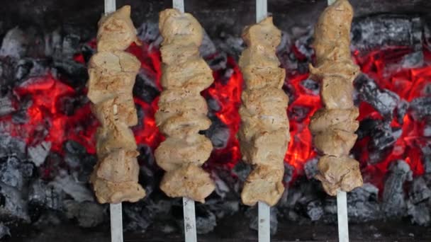 Heerlijke Sappige Shish Kebab Varkensvlees Brand Voedsel Brand Barbecue Tuin — Stockvideo