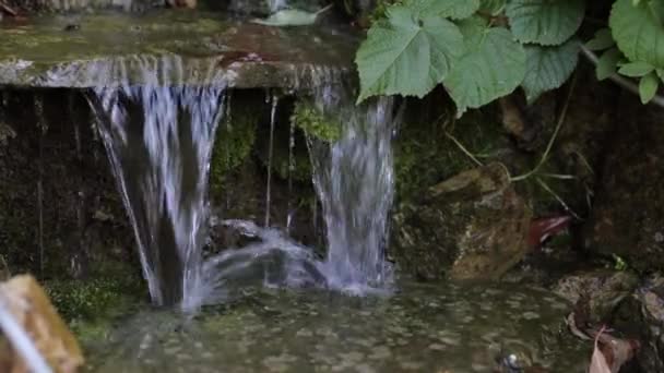 山中的溪流 美丽的溪流逼近 水库的清洁用水 山中自然 空气清新 休息休息 纯净水 — 图库视频影像