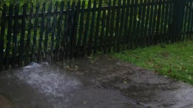 Şiddetli fırtına, sağanak yağmur. Hava sonbahar, avluda kasvetli. Şiddetli rüzgar ve yağış. Kötü hava nedeniyle korkunç yağmur nedeniyle, evden ayrılmak imkansızdır..