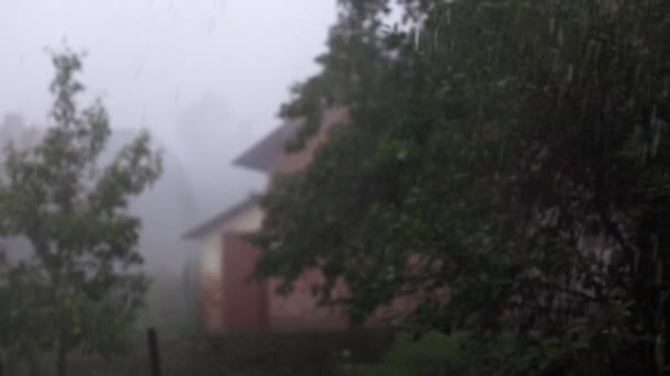 強い雷雨 激しい雨 天気は秋で 庭は暗くなっています 強い風と降水 ひどい雨のため 家を出ることは不可能です — ストック動画