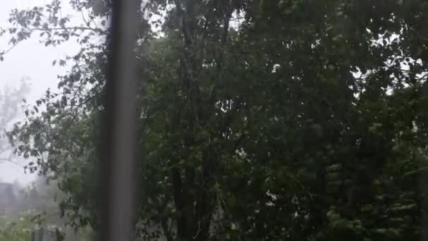 Fuerte Tormenta Lluvias Torrenciales Tiempo Otoño Sombrío Patio Viento Fuerte — Vídeos de Stock