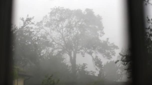 Silná Bouřka Prudké Deště Počasí Podzimní Dvoře Šero Silný Vítr — Stock video