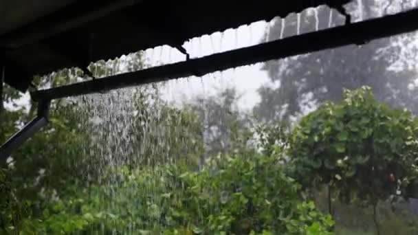 토렌트 날씨는 가을이며 마당에서 우울합니다 바람과 강수량 때문에 끔찍한 그것은 — 비디오