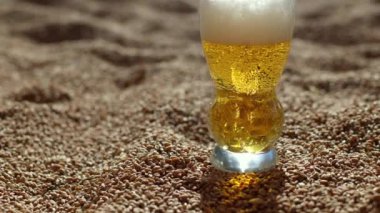 Bir bardak bira buğdayın üzerinde duruyor. Bira fabrikası için altın stok. Doğal güneş ışığı, bol tahıl ve soğuk bira. Buğday arka planı, karbonatlı bira yakın plan. Bir sürü buğday ve bira, kumdaki gibi.