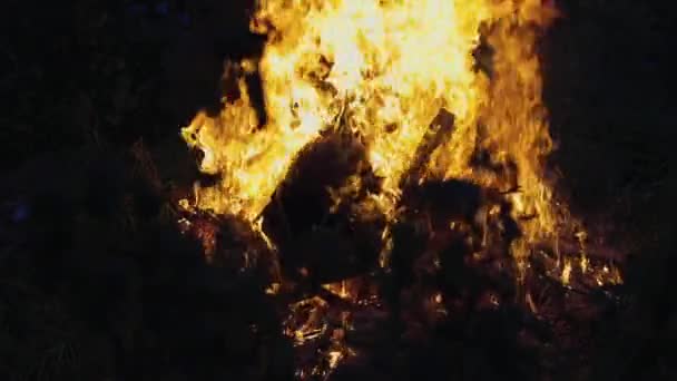Pali Się Wielki Ogień Drewno Opał Śmieci Nocy Wybuchł Pożar — Wideo stockowe