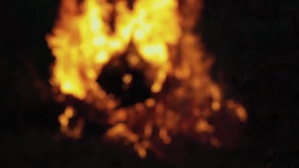 Grande Fuoco Legna Ardere Spazzatura Stanno Bruciando Stato Incendio Notte — Video Stock
