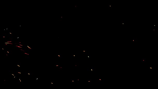 Flammen Aus Einem Lagerfeuer Feuerfunken Auf Schwarzem Hintergrund Können Als — Stockvideo