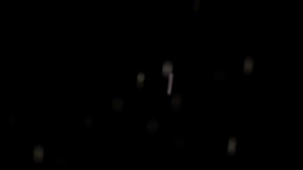 Снег Падает Черном Фоне Зима Дворе Снежинки Освещены Фонариком Зимняя — стоковое видео