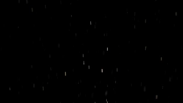 Sneeuw Valt Een Zwarte Achtergrond Winter Tuin Sneeuwvlokken Verlicht Door — Stockvideo