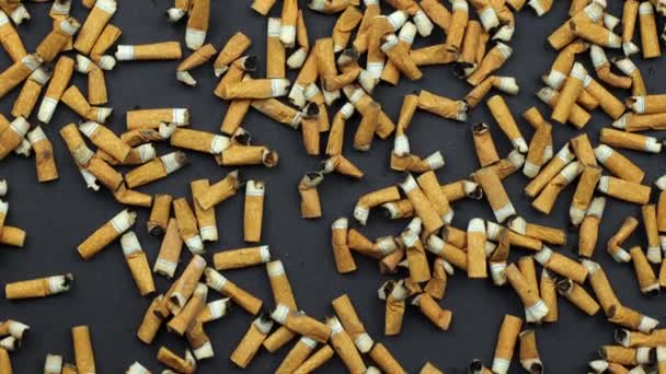 Beaucoup Cigarettes Fumées Sur Fond Gris Fumer Peut Nuire Votre — Video