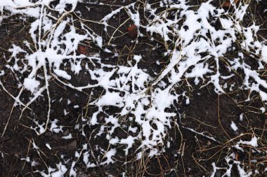 Kar ve buz, kış öncesi arka plan. Karlı, soğuk ve kasvetli. Kar yağıyordu, zemin karla kaplıydı. Üst görünüm dokusu