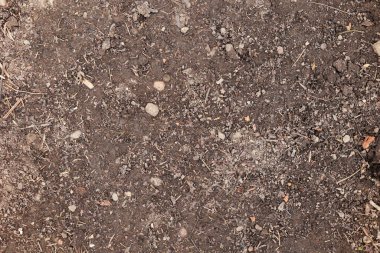 Toprak dokusunun üst görüntüsü. Toprak zemin, kirli sert kil. Çorak arazi, kuraklık. Alan sorunları, kuru arazi