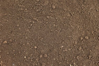 Kara toprak fidanlar için hazır. Çiftlikteki kahverengi toprak. Bahçedeki araziye yakın çekim, baharda bahçe hazırlığı. Seradaki iyi ve temiz nemli toprak