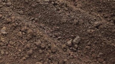 Kara toprak fidanlar için hazır. Çiftlikteki kahverengi toprak. Bahçedeki araziye yakın çekim, baharda bahçe hazırlığı. Seradaki iyi ve temiz nemli toprak