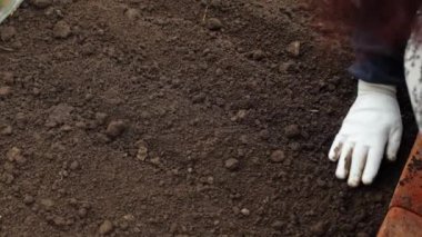 Kara toprak fidanlar için hazır. Çiftlikteki kahverengi toprak. Bahçedeki araziye yakın çekim, baharda bahçe hazırlığı. Seradaki iyi ve temiz nemli toprak