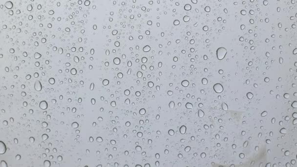 Дощ Прозорій Олійній Тканині Багато Крапель Води Прозорому Тлі Конденсація — стокове відео