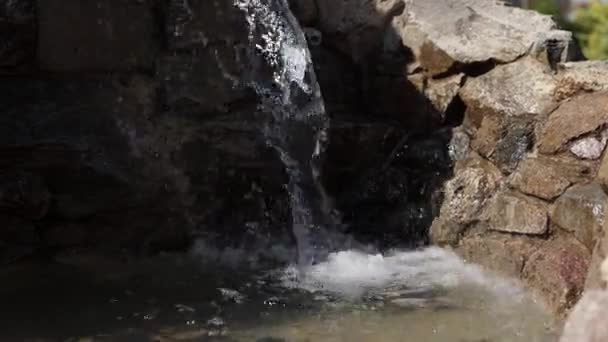 クリーンな水の流れ 小さな滝 澄んだ冷たい水の源 公園の水 美しい流れ — ストック動画