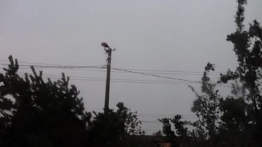 Pencerenin dışında fırtına, yağmur damlaları ve şimşekler. Kasvetli hava, yaz yağmuru
