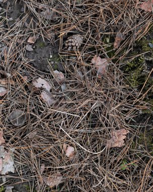 Toprak zemin, kil dokusu. Kırsal endüstri bahar arazisi. Yukarıdan yakın çekim. Kuru zemin, sert zemin