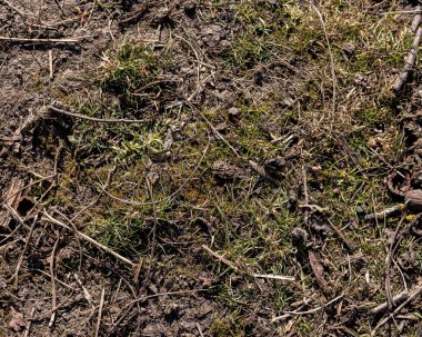 Toprak dokusunun üst görüntüsü. Toprak zemin, kirli sert kil. Çorak arazi, kuraklık. Alan sorunları, kuru arazi
