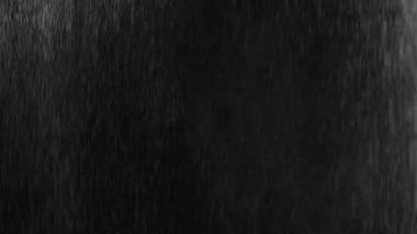 Siyah arka plana un atıyorlar. Beyaz toz etkisi. Farklı efektler için. Un her yere düşüyor. Siyah arkaplanda beyaz toz