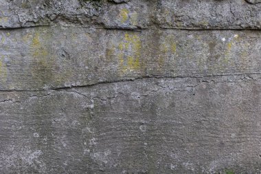 Harap olmuş beton yolun arka planı, gri beton, beton doku, yakın plan. Doğal fotoğraf. Eski beton levha