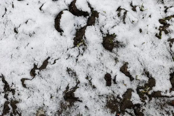 Top view, snow texture. Background, winter period