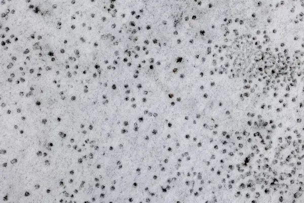 Top view, snow texture. Background, winter period