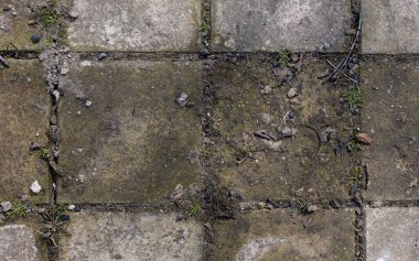 Harap olmuş beton yolun arka planı, gri beton, beton doku, yakın plan. Doğal fotoğraf. Eski beton levha