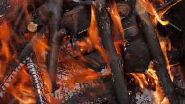 Bahçede şenlik ateşi. Piknik hazırlığı, kamp ateşinde barbekü, hafta sonunda dinlenme. Barbeküde odun yanıyor, çok sıcak. Kuru odun ateşi, yemek pişirmek için yakıt.