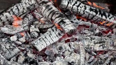 Bahçede şenlik ateşi. Piknik hazırlığı, kamp ateşinde barbekü, hafta sonunda dinlenme. Barbeküde odun yanıyor, çok sıcak. Kuru odun ateşi, yemek pişirmek için yakıt.