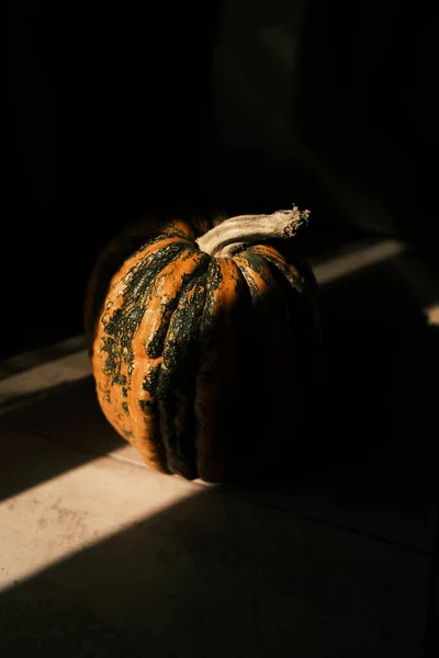 Pumpkin on a dark background. Halloween. Ingredient. High quality photo