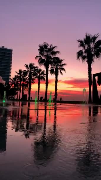 2022 Batumi Georgia Batumi Boulevard Fountains Sunset Palms Sun High — Stockvideo