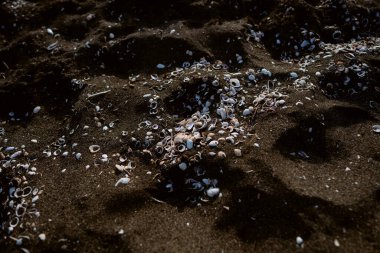 Siyah manyetik kum. Geçmişi. Yüksek kalite fotoğraf