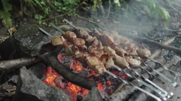 Shish Kebab Fried Skewers Coals Fire Grilled Pork Shashlik Picnic — Stock Video