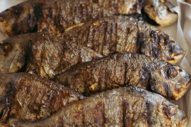 Izgara dorado balığı. Yüksek kalite fotoğraf