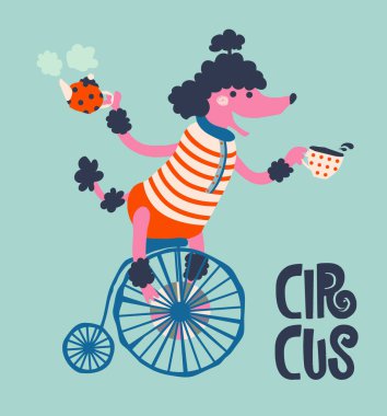 Bir kafeteryada barmen olarak bir sirk kanişi çaydanlık ve bir fincan çay ya da kahve içinde bisiklete biner.