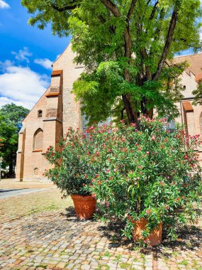 Çiçek saksıları Augsburg meydanında. 
