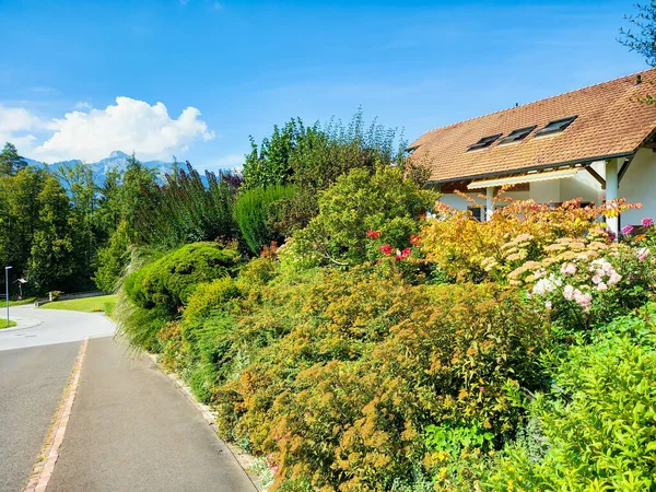 stock image A beautiful garden in Schellenberg 