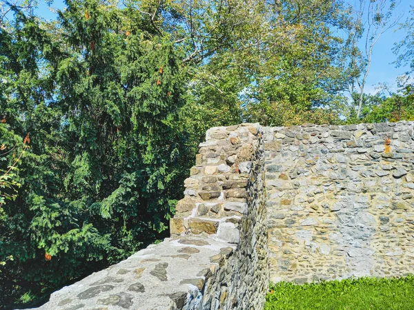 Velha Muralha Castelo Untere Burg Schellenberg Liechtenstein — Fotografia de Stock