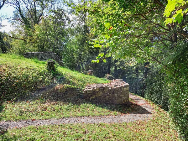 Ruines Château Schellenberg Liechtenstein — Photo