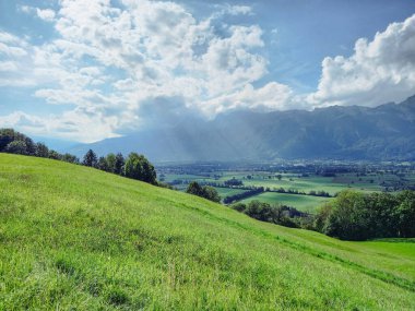 Güzel bir Avusturya yeşil manzarası 