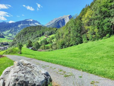 Au am Bregenzwald 'daki Alp Yolu. 