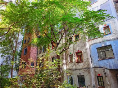 Viyana 'da güzel renkli bir ev 