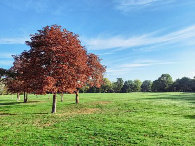 Viyana 'daki Donaupark (Tuna Parkı) 