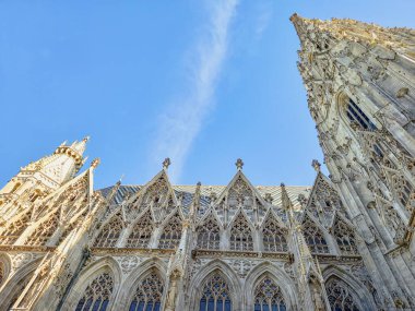 Viyana 'nın eski güzel mimarisi. 