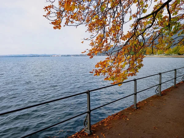秋は美しい季節です ブレゲンツ オーストリア — ストック写真